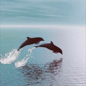 LIVE SHOW NOTIFICATION!!✨✨